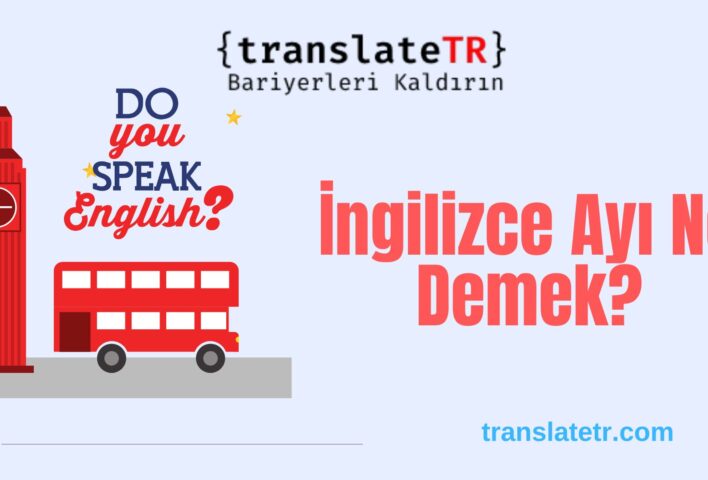 İngilizce Ayı Ne Demek?