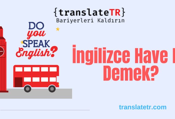 İngilizce Have Ne Demek?